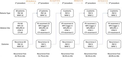 Catheter ablation in Asian patients with atrial fibrillation and hypertrophic cardiomyopathy: electrophysiological characteristics of recurrence and long-term clinical outcomes